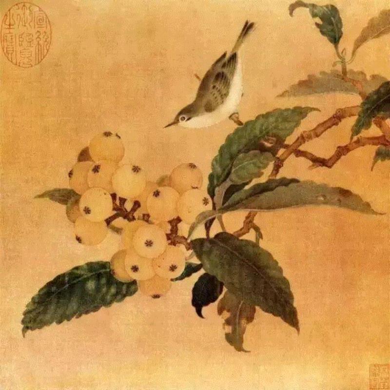 宋 佚名 枇杷山鸟图页 ,宋画中那些“无名氏”的大作鉴赏,画中,无名氏,大作,绘画,绢本,图页,叶片,马麟,两侧,枇杷果