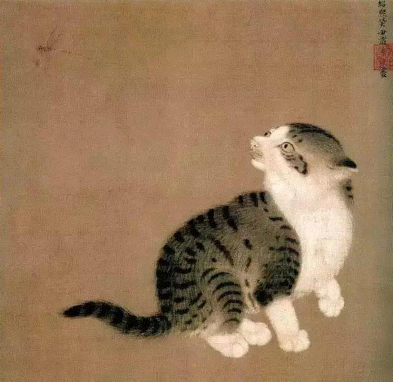 宋 佚名 蜻蜓猫戏图,宋画中那些“无名氏”的大作鉴赏,画中,无名氏,大作,绘画,绢本,图页,叶片,马麟,两侧,枇杷果