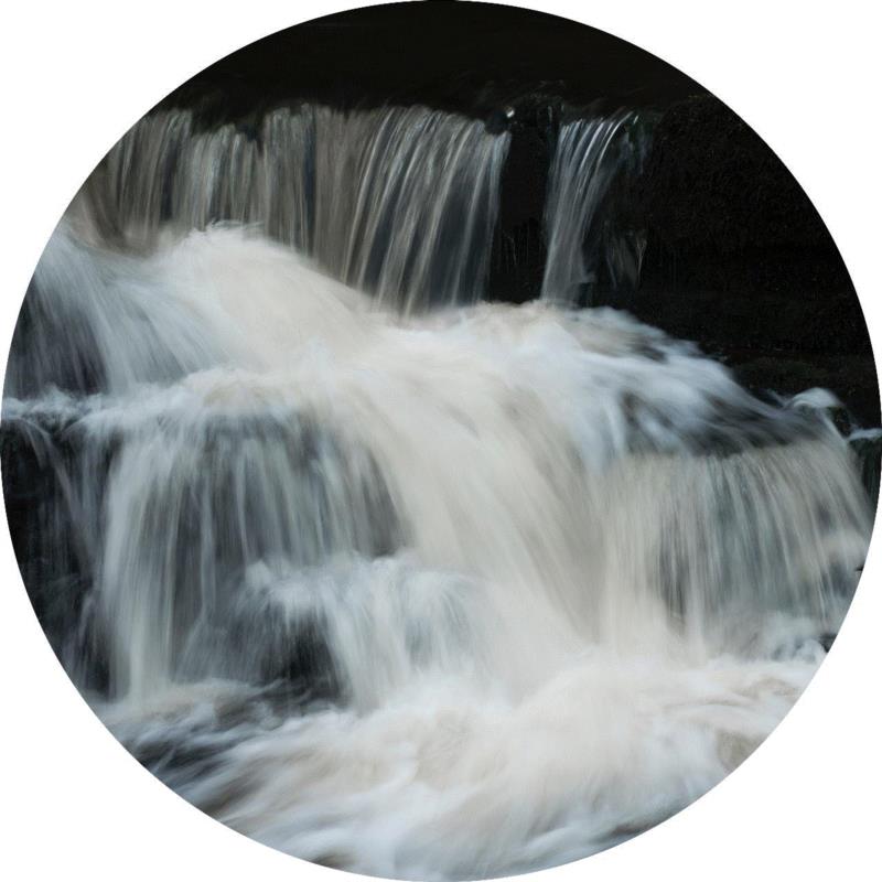 丹尼尔·埃斯卡纳齐 Daniel Eskenazi,展览预告 | 【我自然 With Nature】4.6-5.26