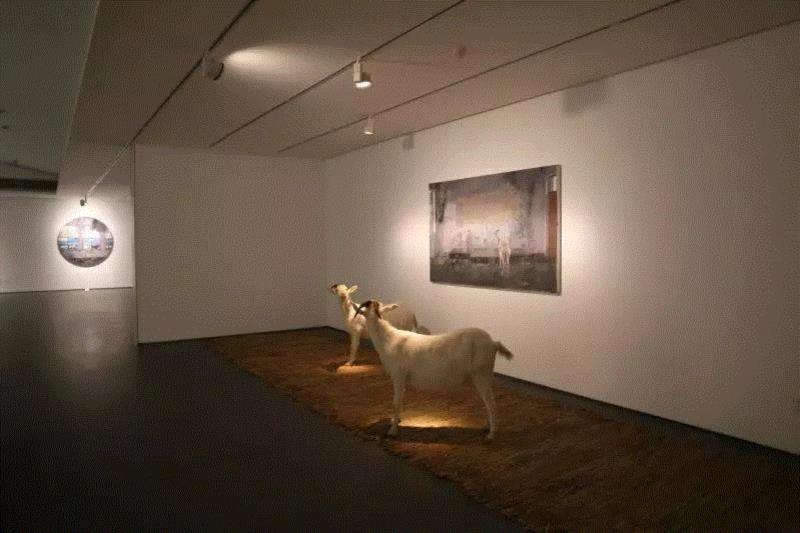 △你在凝视这两只羊，它们正在凝视这幅画,展览倒计时 | 董文通个展将于明日开幕,董文通,倒计时,合美术馆,绘画,小合,场域,油画,科技,媒介,身份证
