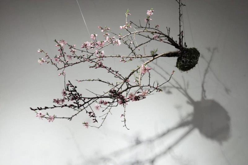 本次「春风竹雨——古典与现代」展览现场,一步一景，想来感受下大唐盛世的花朝节吗？,花朝节,大唐,盛世,地址,花艺,莫干山路50号,春风,教授,中华花艺文教基金会,普陀区