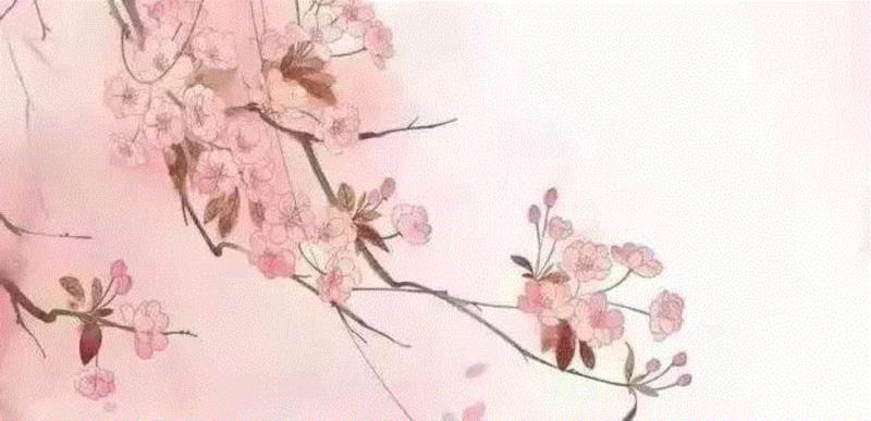 【江浙沪】3月份有什么好看的展览？（第3期）,江浙沪,书画,文物,龙美术馆,三毛,建筑,六朝,圣旨,古代,舟山博物馆