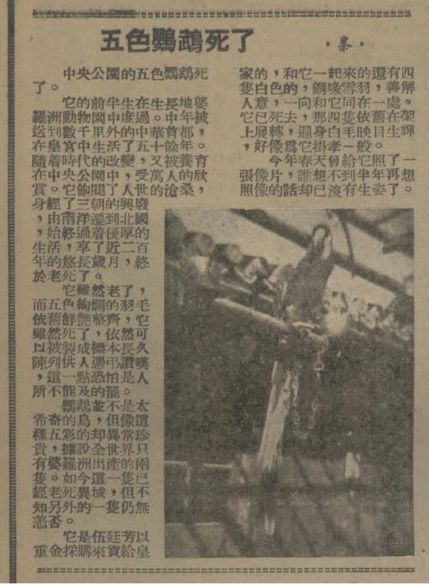 〈三六九画报〉一九四二年第十七卷第一期,香港春拍书画精选 | 京华烟云,香港,书画,京华烟云,于非闇,时乐鸟,公分,金城,中山公园,著录,陈少梅