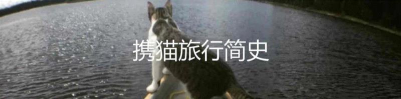 喵有可能是同性或双性恋吗？,双性恋,同性,同性恋,同性性行为,猫咪,同性恋者,图源,公猫,一个人,利维坦