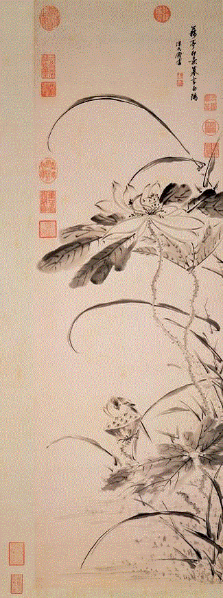 国画大师的荷花精品，欣赏与临摹都需要！,荷花,国画,画荷,黄永玉,潘天寿,画荷王同君,江宏伟,谢天赐,卢东,韩莉