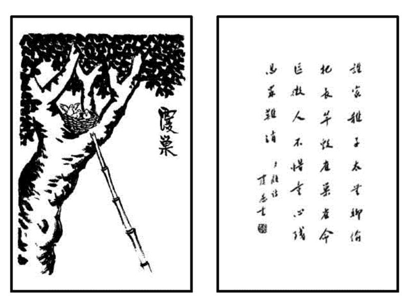 《护生画集》丰子恺花了45年只为师恩盟约,丰子恺,护生画集,师恩,盟约,弘一法师,恩师,护生,老人,普明,禅师