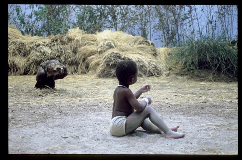 徐震?参加第14届沙迦双年展,作品引发争议,徐震,沙迦,双年展,苏丹,Zhen,长征空间,回音,策展人,周轶,Butt