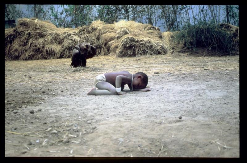 徐震 Xu Zhen,徐震?参加第14届沙迦双年展,作品引发争议,徐震,沙迦,双年展,苏丹,Zhen,长征空间,回音,策展人,周轶,Butt