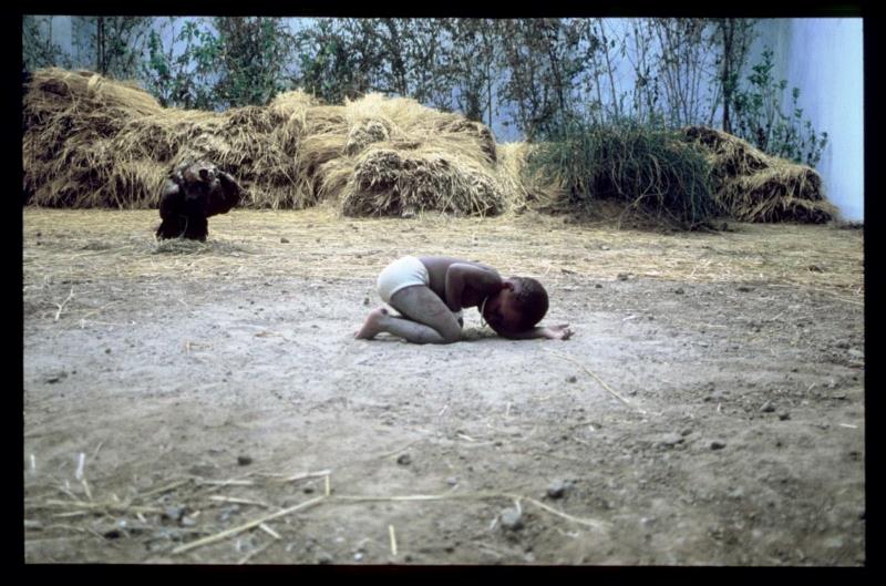 徐震 Xu Zhen,徐震?参加第14届沙迦双年展,作品引发争议,徐震,沙迦,双年展,苏丹,Zhen,长征空间,回音,策展人,周轶,Butt