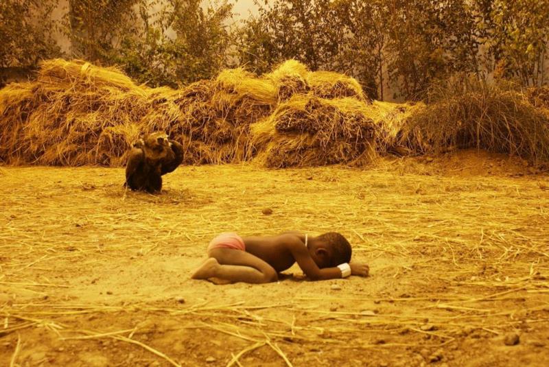 徐震?参加第14届沙迦双年展,作品引发争议,徐震,沙迦,双年展,苏丹,Zhen,长征空间,回音,策展人,周轶,Butt