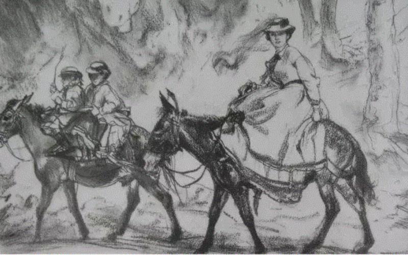 艺术大师的绝版手稿，收藏！,手稿,绝版,素描,透纳,上方,梵高,丢勒,素描手稿门采尔,速写集,同时代