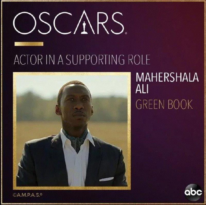 这届奥斯卡,好无趣啊~,奥斯卡,罗马,电影,名单,绿皮,导演,宠儿,卡隆,波西米亚狂想曲,科尔曼