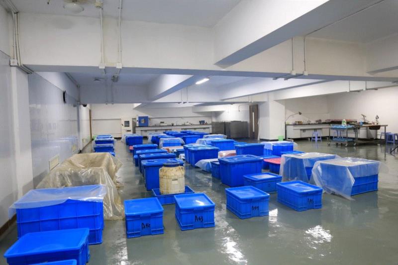 文物修复到底怎么修？,文物,漆器,器物,画心,青铜器,书画,颜色,案例,全色,彩绘