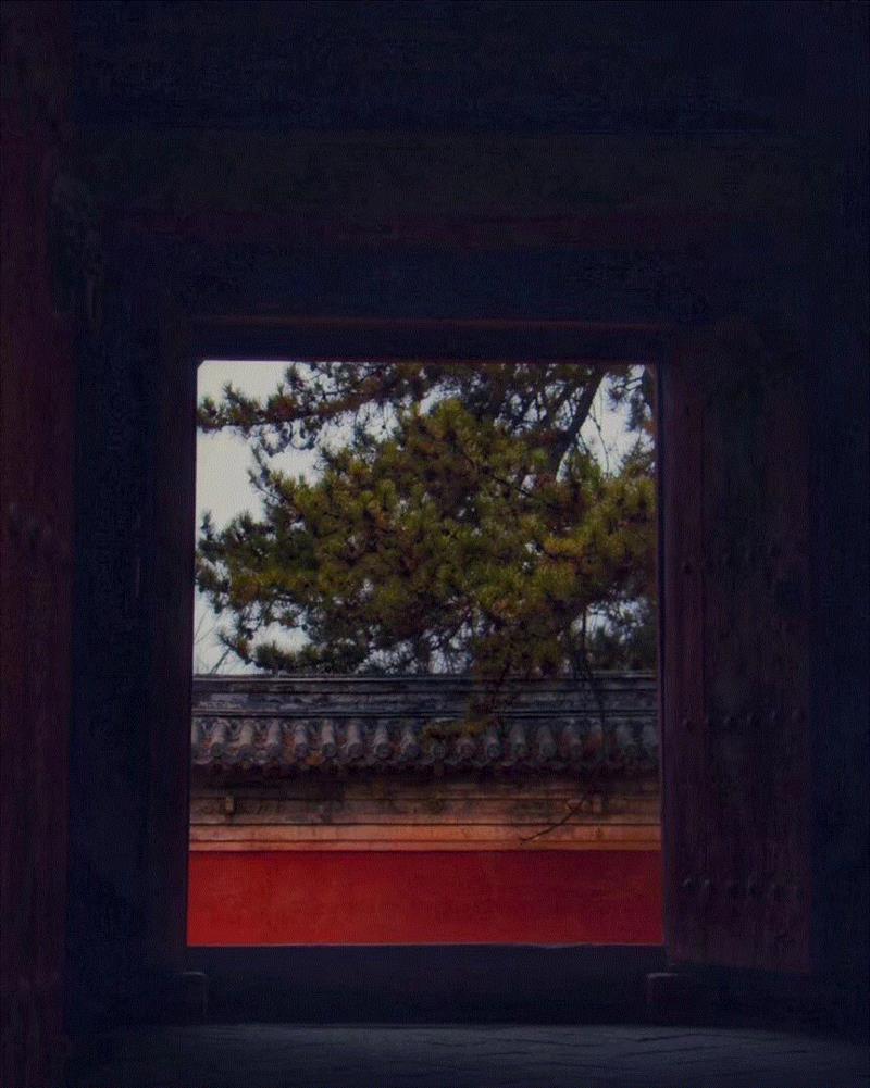 游学 | 寻“晋”,听国宝背后的故事(3月23日—3月24日),国宝,背后,建筑,太原,山西博物院,山西,龙山石窟,石窟,南禅寺,佛光寺