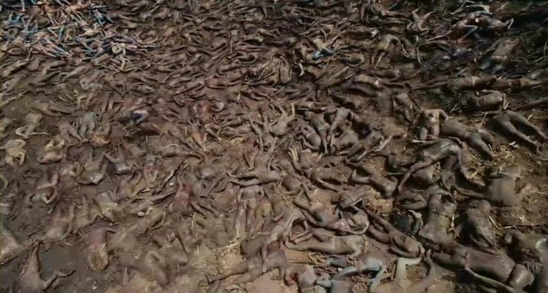 电影《启示》剧照。图源:豆瓣电影,人类文明必然走向覆灭吗?,文明,图源,灾难,经济,古代,昔日,科技,EROI,罗马帝国,理论