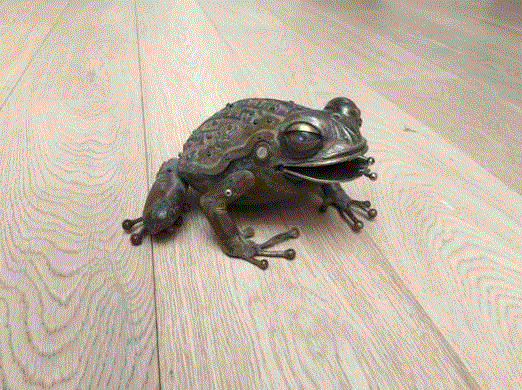 工艺丨从废旧的金属零件 到优雅的机械生命,零件,工艺,金属,机械,昆虫,上方,右上,法国,Martinet,学生们