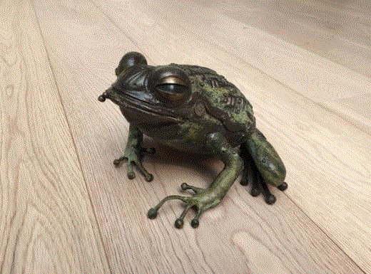 工艺丨从废旧的金属零件 到优雅的机械生命,零件,工艺,金属,机械,昆虫,上方,右上,法国,Martinet,学生们