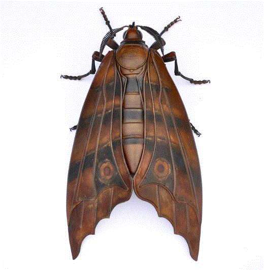 工艺丨从废旧的金属零件 到优雅的机械生命,零件,工艺,金属,机械,昆虫,上方,右上,法国,Martinet,学生们