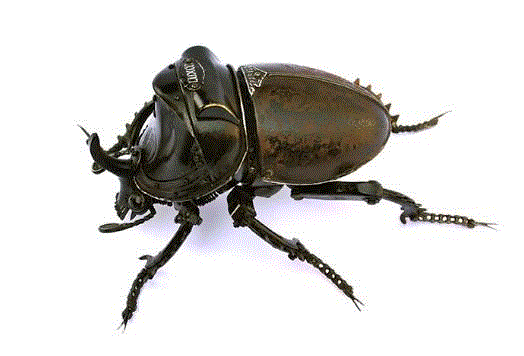 工艺丨从废旧的金属零件 到优雅的机械生命,零件,工艺,金属,机械,昆虫,上方,右上,法国,Martinet,学生们