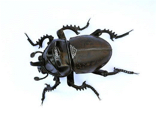 工艺丨从废旧的金属零件 到优雅的机械生命,零件,工艺,金属,机械,昆虫,上方,右上,法国,Martinet,学生们