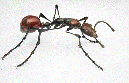 工艺丨从废旧的金属零件 到优雅的机械生命,零件,工艺,金属,机械,昆虫,上方,右上,法国,Martinet,学生们