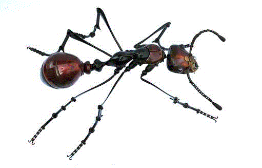 工艺丨从废旧的金属零件 到优雅的机械生命,零件,工艺,金属,机械,昆虫,上方,右上,法国,Martinet,学生们