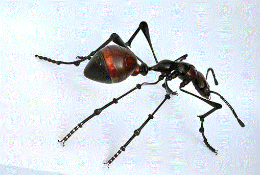 工艺丨从废旧的金属零件 到优雅的机械生命,零件,工艺,金属,机械,昆虫,上方,右上,法国,Martinet,学生们