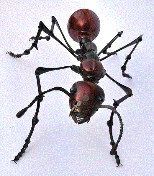 工艺丨从废旧的金属零件 到优雅的机械生命,零件,工艺,金属,机械,昆虫,上方,右上,法国,Martinet,学生们