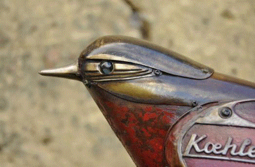 工艺丨从废旧的金属零件 到优雅的机械生命,零件,工艺,金属,机械,昆虫,上方,右上,法国,Martinet,学生们