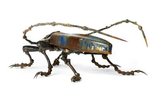 工艺丨从废旧的金属零件 到优雅的机械生命,零件,工艺,金属,机械,昆虫,上方,右上,法国,Martinet,学生们