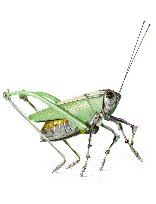 工艺丨从废旧的金属零件 到优雅的机械生命,零件,工艺,金属,机械,昆虫,上方,右上,法国,Martinet,学生们