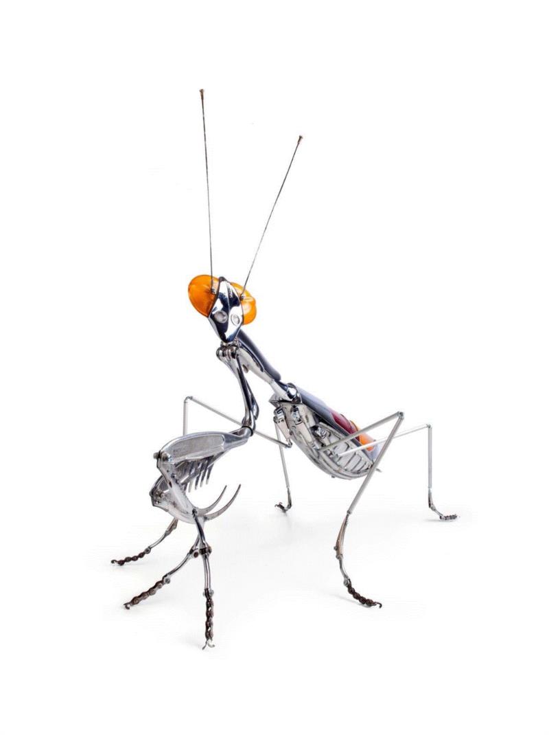 工艺丨从废旧的金属零件 到优雅的机械生命,零件,工艺,金属,机械,昆虫,上方,右上,法国,Martinet,学生们