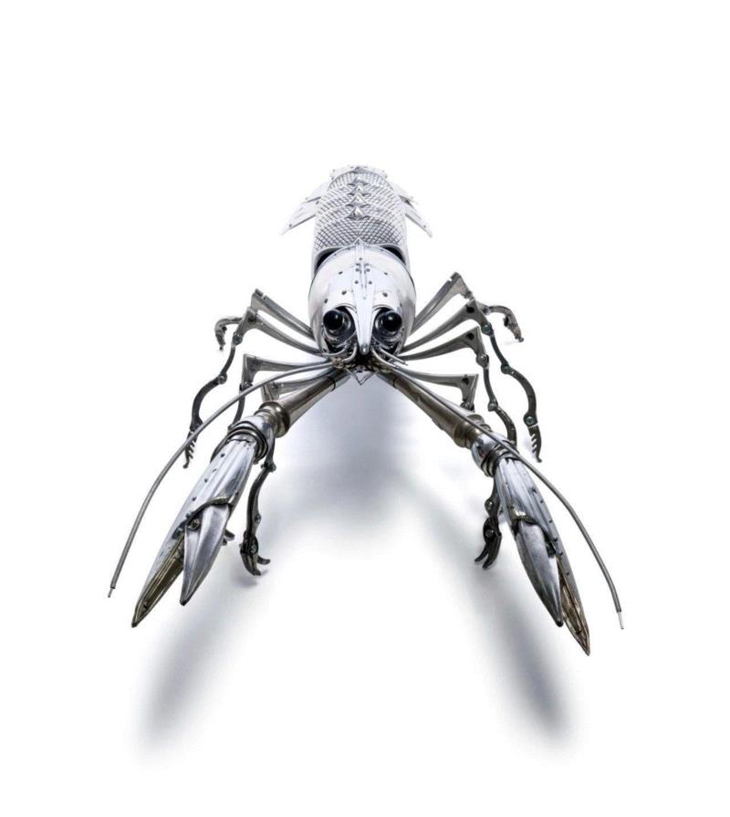 工艺丨从废旧的金属零件 到优雅的机械生命,零件,工艺,金属,机械,昆虫,上方,右上,法国,Martinet,学生们