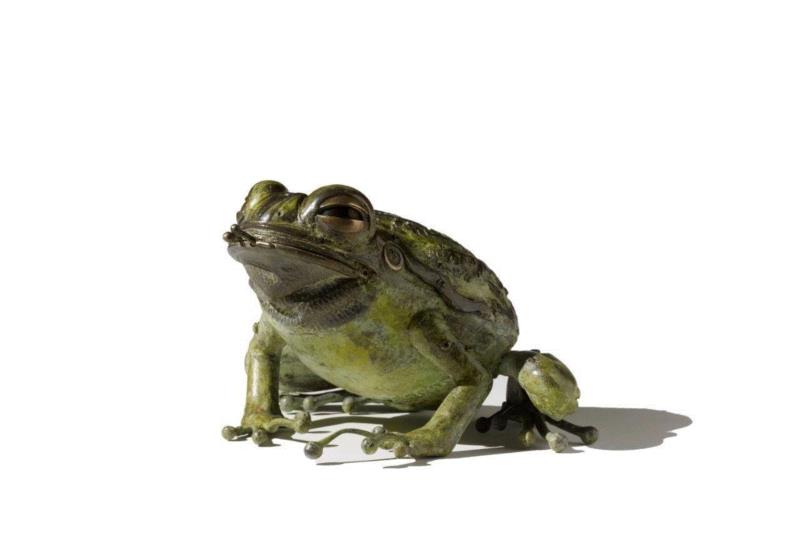 工艺丨从废旧的金属零件 到优雅的机械生命,零件,工艺,金属,机械,昆虫,上方,右上,法国,Martinet,学生们