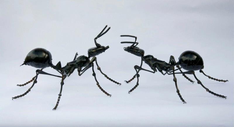 工艺丨从废旧的金属零件 到优雅的机械生命,零件,工艺,金属,机械,昆虫,上方,右上,法国,Martinet,学生们