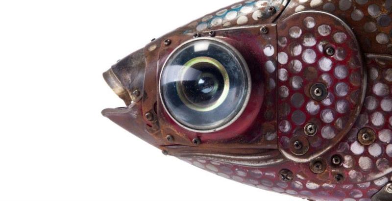 工艺丨从废旧的金属零件 到优雅的机械生命,零件,工艺,金属,机械,昆虫,上方,右上,法国,Martinet,学生们