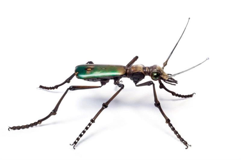 工艺丨从废旧的金属零件 到优雅的机械生命,零件,工艺,金属,机械,昆虫,上方,右上,法国,Martinet,学生们