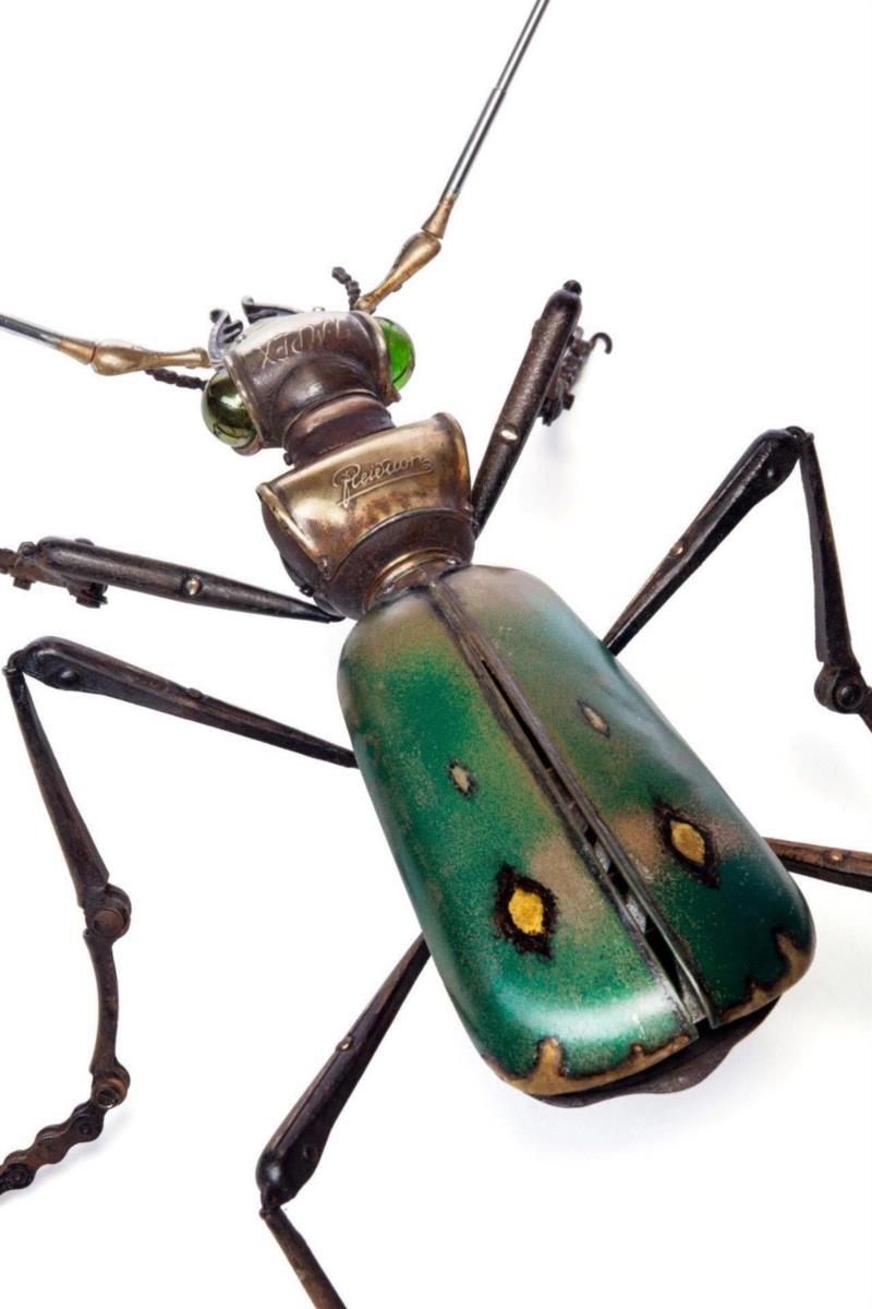 工艺丨从废旧的金属零件 到优雅的机械生命,零件,工艺,金属,机械,昆虫,上方,右上,法国,Martinet,学生们