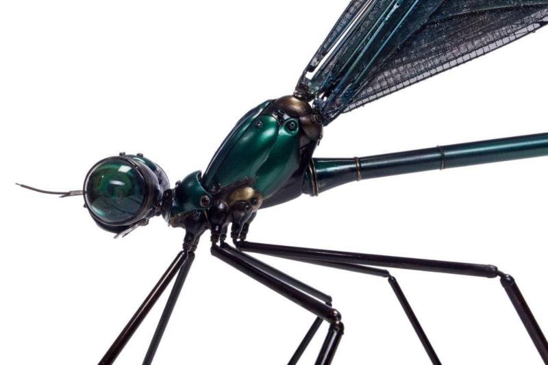 工艺丨从废旧的金属零件 到优雅的机械生命,零件,工艺,金属,机械,昆虫,上方,右上,法国,Martinet,学生们