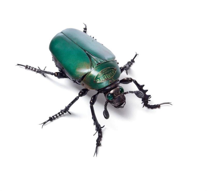 工艺丨从废旧的金属零件 到优雅的机械生命,零件,工艺,金属,机械,昆虫,上方,右上,法国,Martinet,学生们