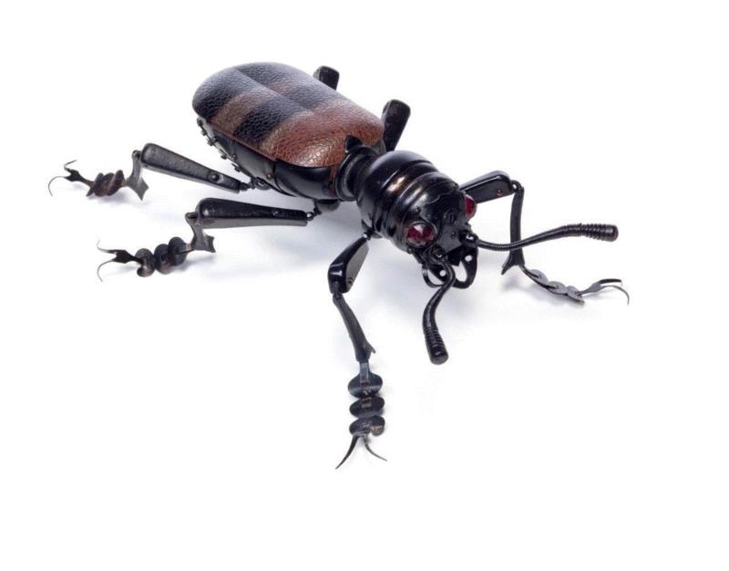 工艺丨从废旧的金属零件 到优雅的机械生命,零件,工艺,金属,机械,昆虫,上方,右上,法国,Martinet,学生们