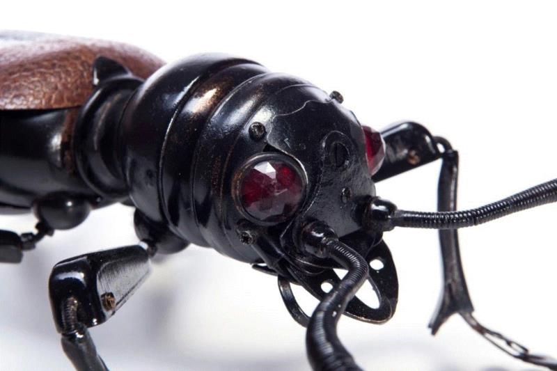 工艺丨从废旧的金属零件 到优雅的机械生命,零件,工艺,金属,机械,昆虫,上方,右上,法国,Martinet,学生们