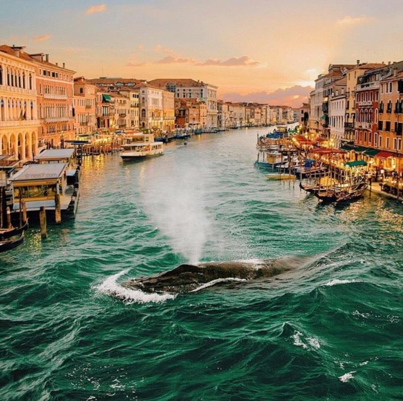 平面丨他用“上帝之手”操控宇宙，狂吸120万粉丝,平面丨他用,上帝之手,宇宙,粉丝,后期,威尼斯,摄影师,一张照片,巴黎,鲸鱼