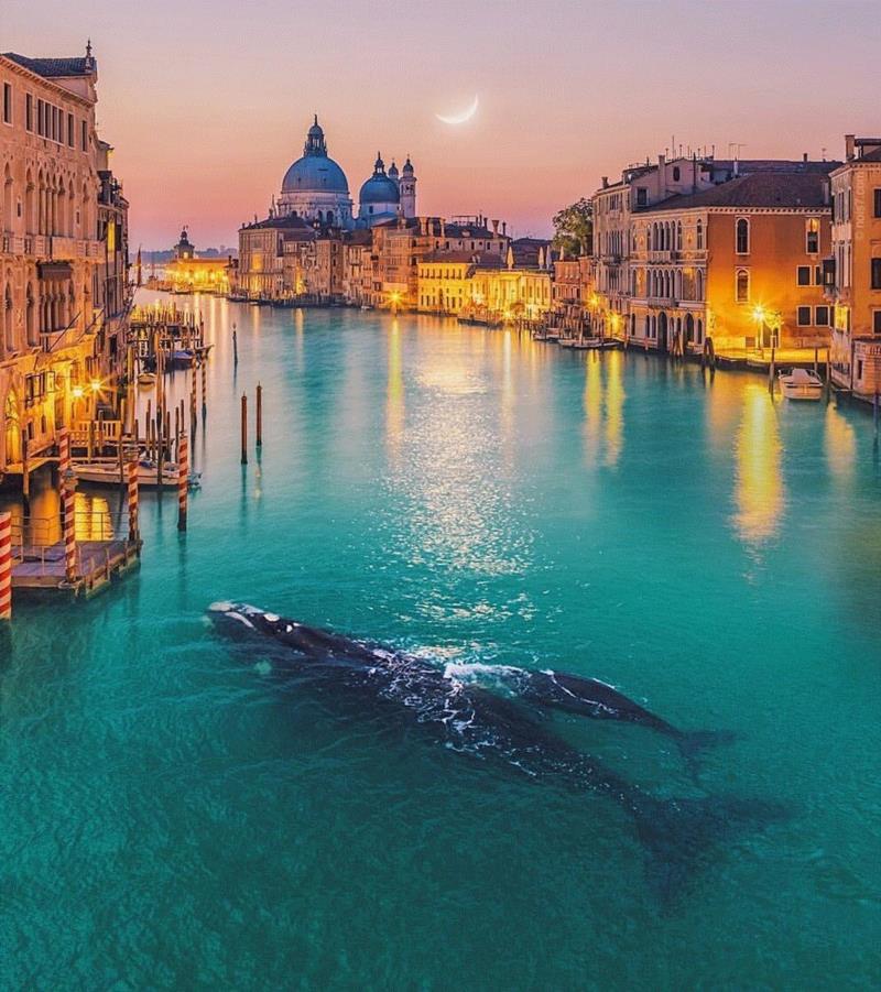 平面丨他用“上帝之手”操控宇宙，狂吸120万粉丝,平面丨他用,上帝之手,宇宙,粉丝,后期,威尼斯,摄影师,一张照片,巴黎,鲸鱼