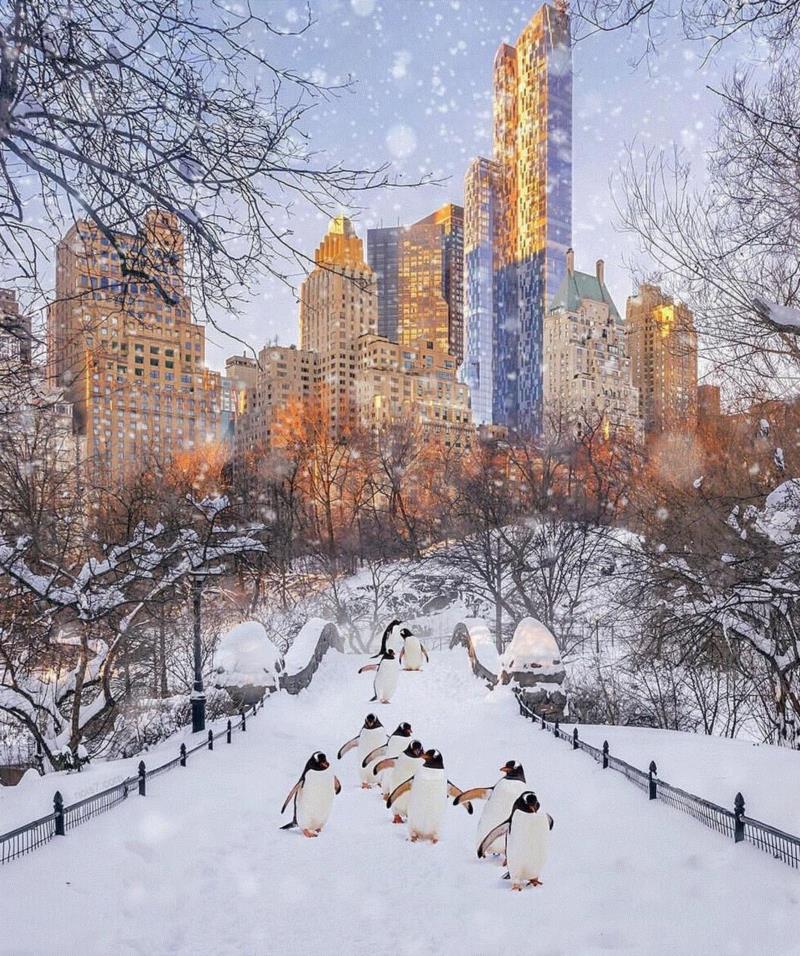 平面丨他用“上帝之手”操控宇宙，狂吸120万粉丝,平面丨他用,上帝之手,宇宙,粉丝,后期,威尼斯,摄影师,一张照片,巴黎,鲸鱼