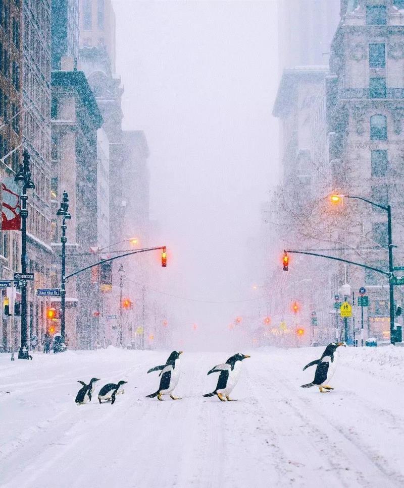 平面丨他用“上帝之手”操控宇宙，狂吸120万粉丝,平面丨他用,上帝之手,宇宙,粉丝,后期,威尼斯,摄影师,一张照片,巴黎,鲸鱼