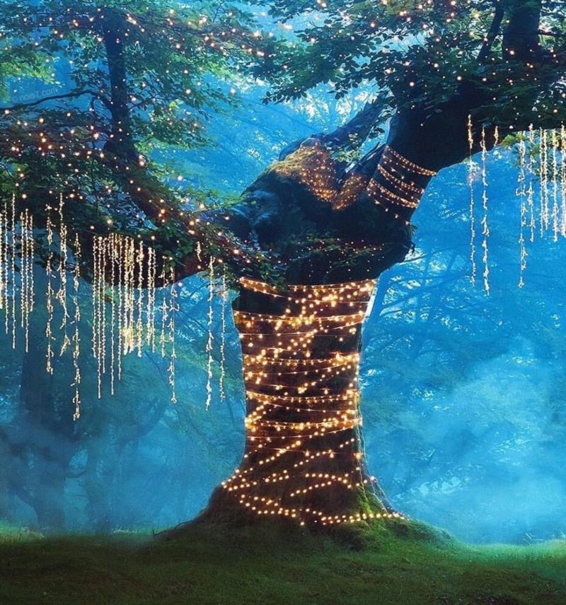 平面丨他用“上帝之手”操控宇宙，狂吸120万粉丝,平面丨他用,上帝之手,宇宙,粉丝,后期,威尼斯,摄影师,一张照片,巴黎,鲸鱼