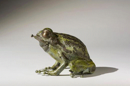 工艺丨从废旧的金属零件 到优雅的机械生命,零件,工艺,金属,机械,昆虫,上方,右上,法国,Martinet,学生们