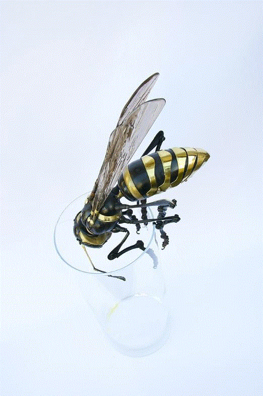 工艺丨从废旧的金属零件 到优雅的机械生命,零件,工艺,金属,机械,昆虫,上方,右上,法国,Martinet,学生们