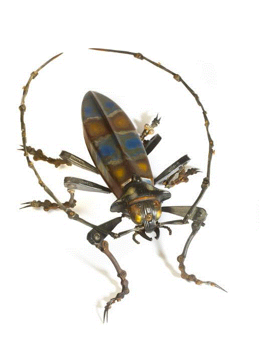 工艺丨从废旧的金属零件 到优雅的机械生命,零件,工艺,金属,机械,昆虫,上方,右上,法国,Martinet,学生们